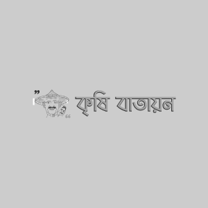 পেঁয়াজের পার্পল ব্লচ রোগ